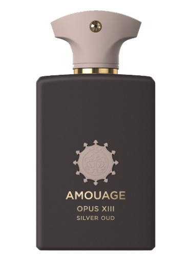 عطر آمواج سیلور عود