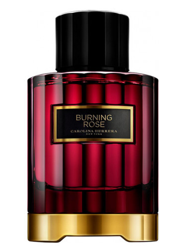عطر کارولینا هررا برنینگ رز