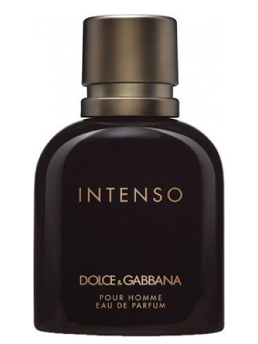 عطر دولچه گابانا پورهوم اینتنسو