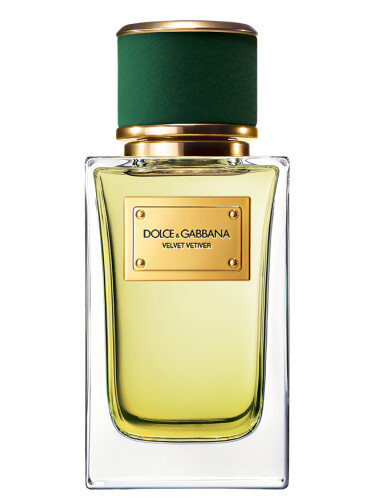 عطر دولچه گابانا ولوت وتیور